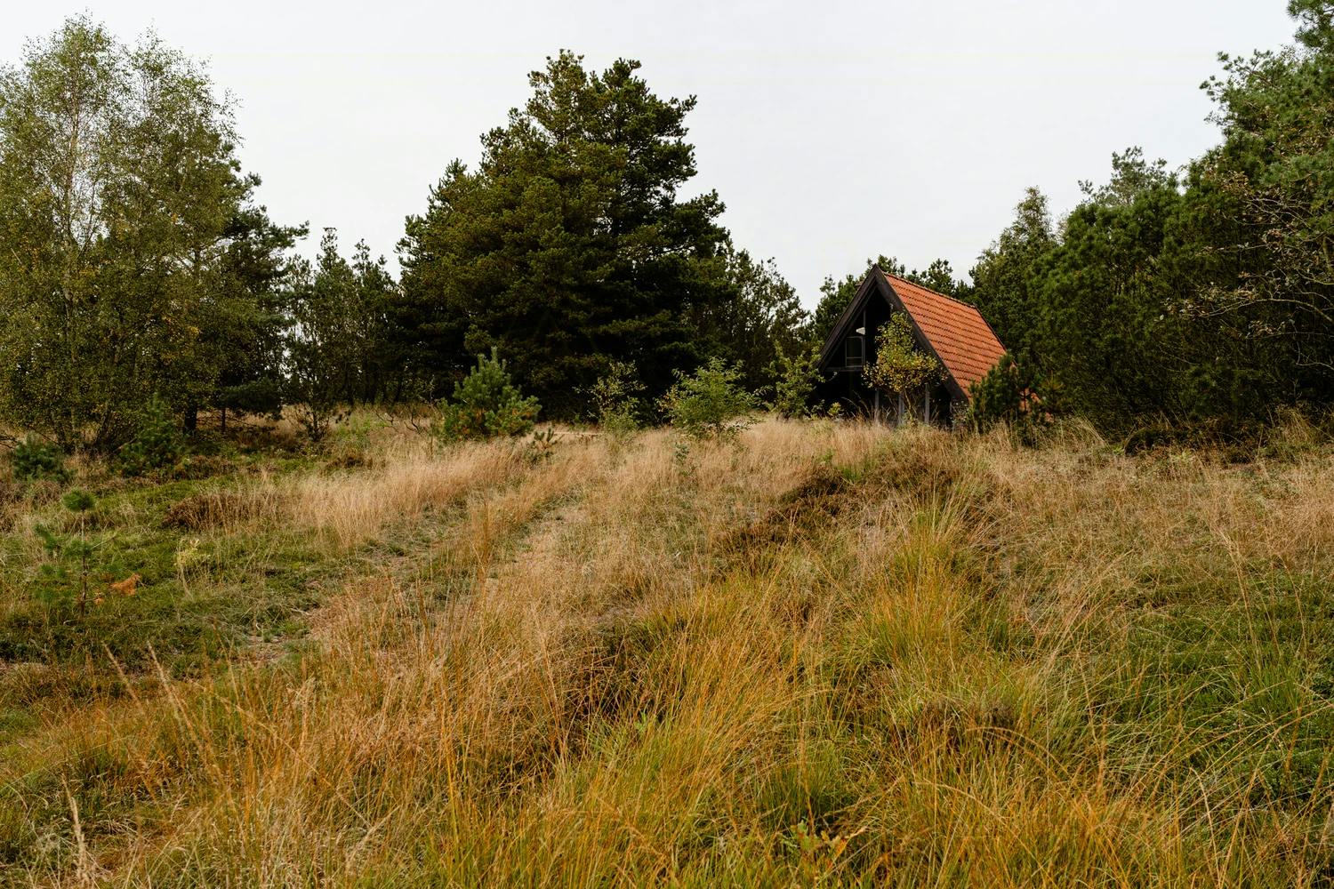 Stor investering i Landfolk