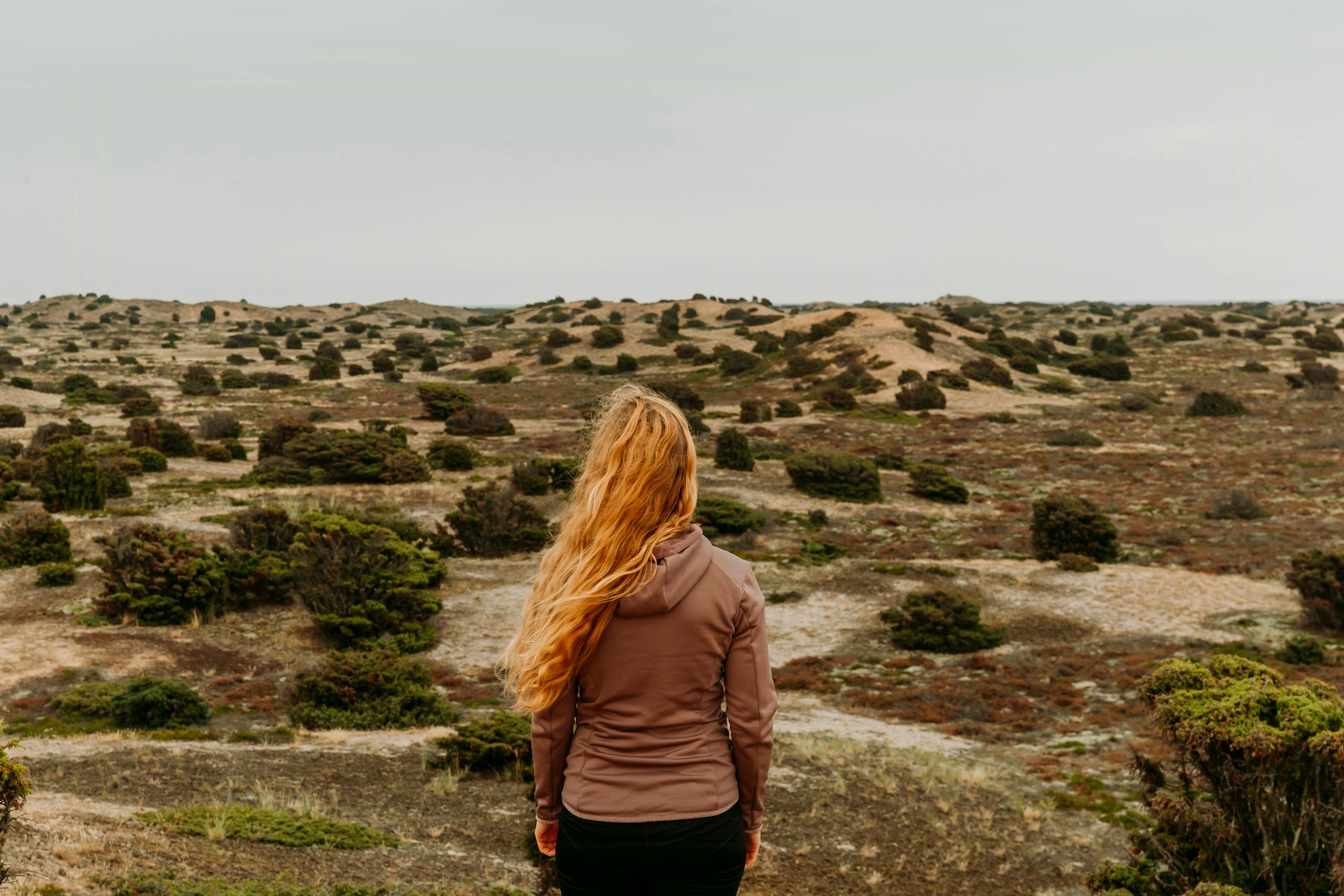 Få naturfotografen Sarah Greens anbefalinger til ekstraordinære naturoplevelser på øen Anholt