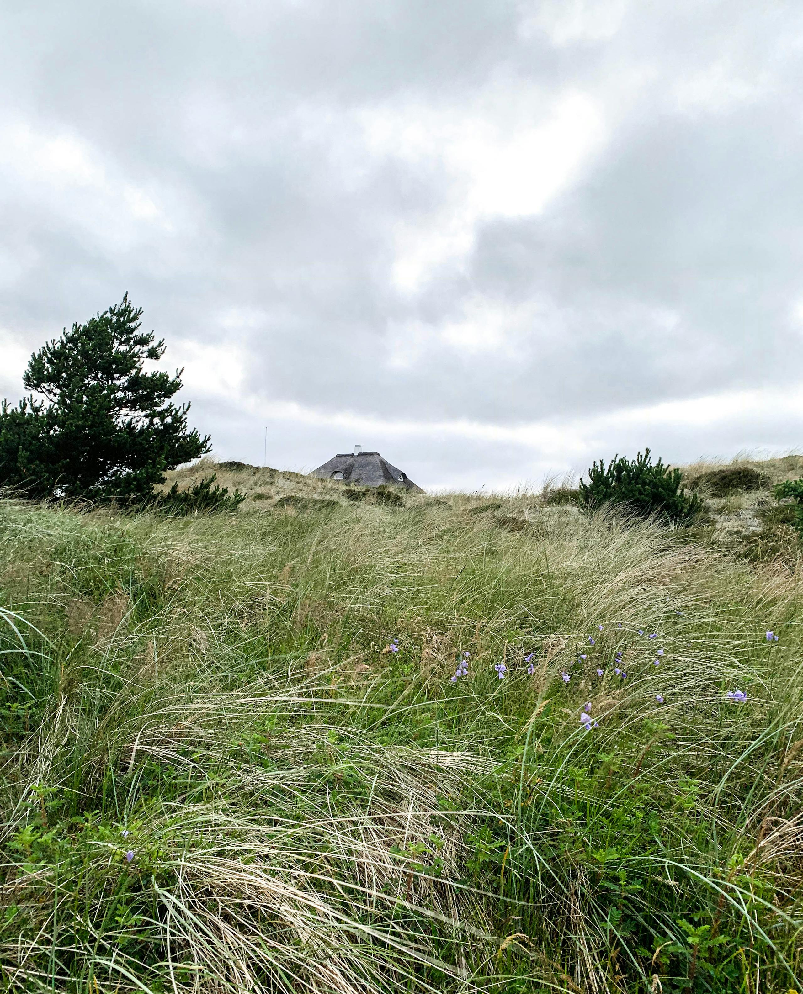 Camilla og Asbjørn tog på weekendtur med solskin, god naturvin og blæsevejr på Solnedgangspladsen