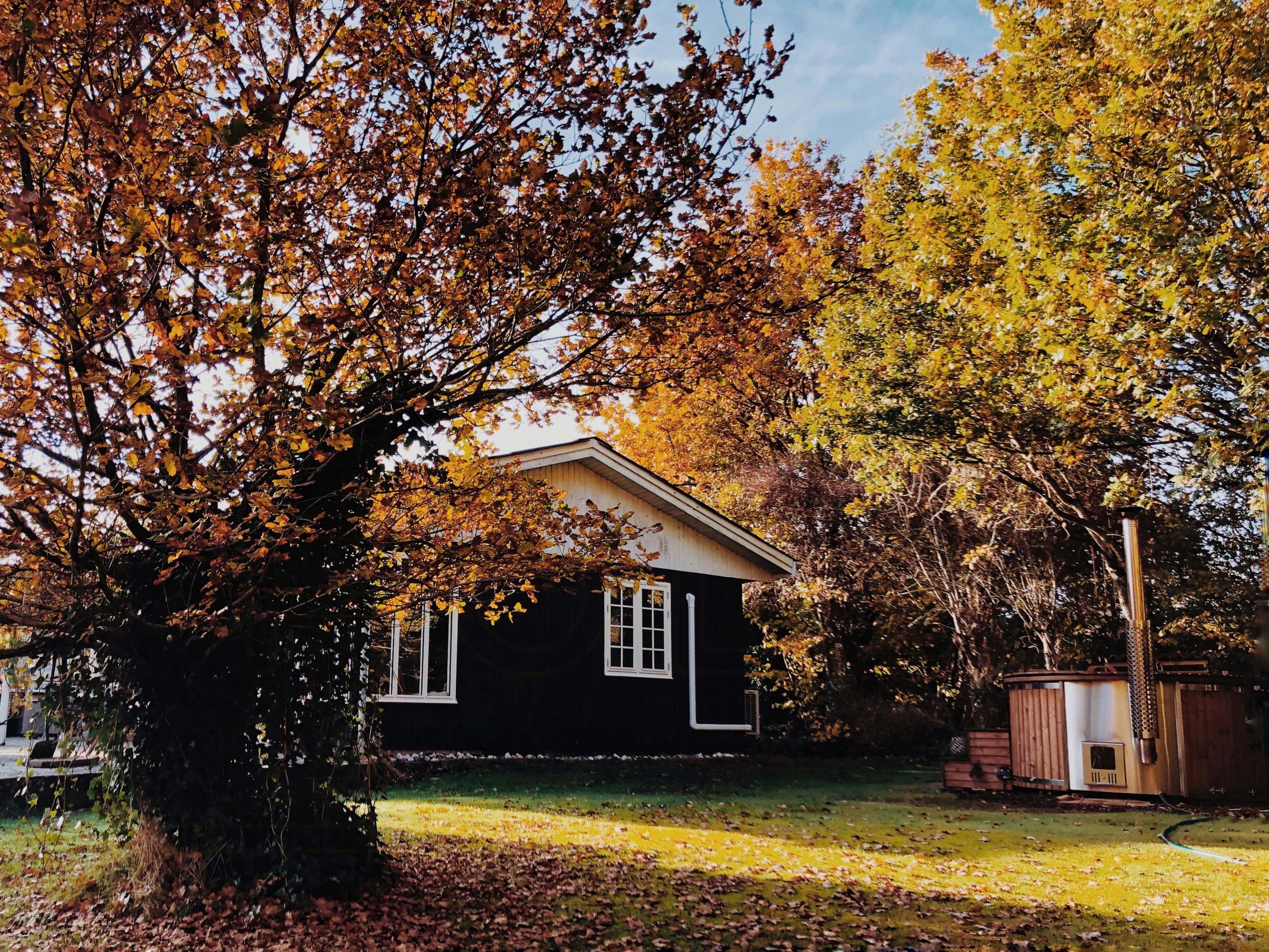 Rikke og Mortens gale, geniale idé har knyttet deres sammenbragte familie sammen