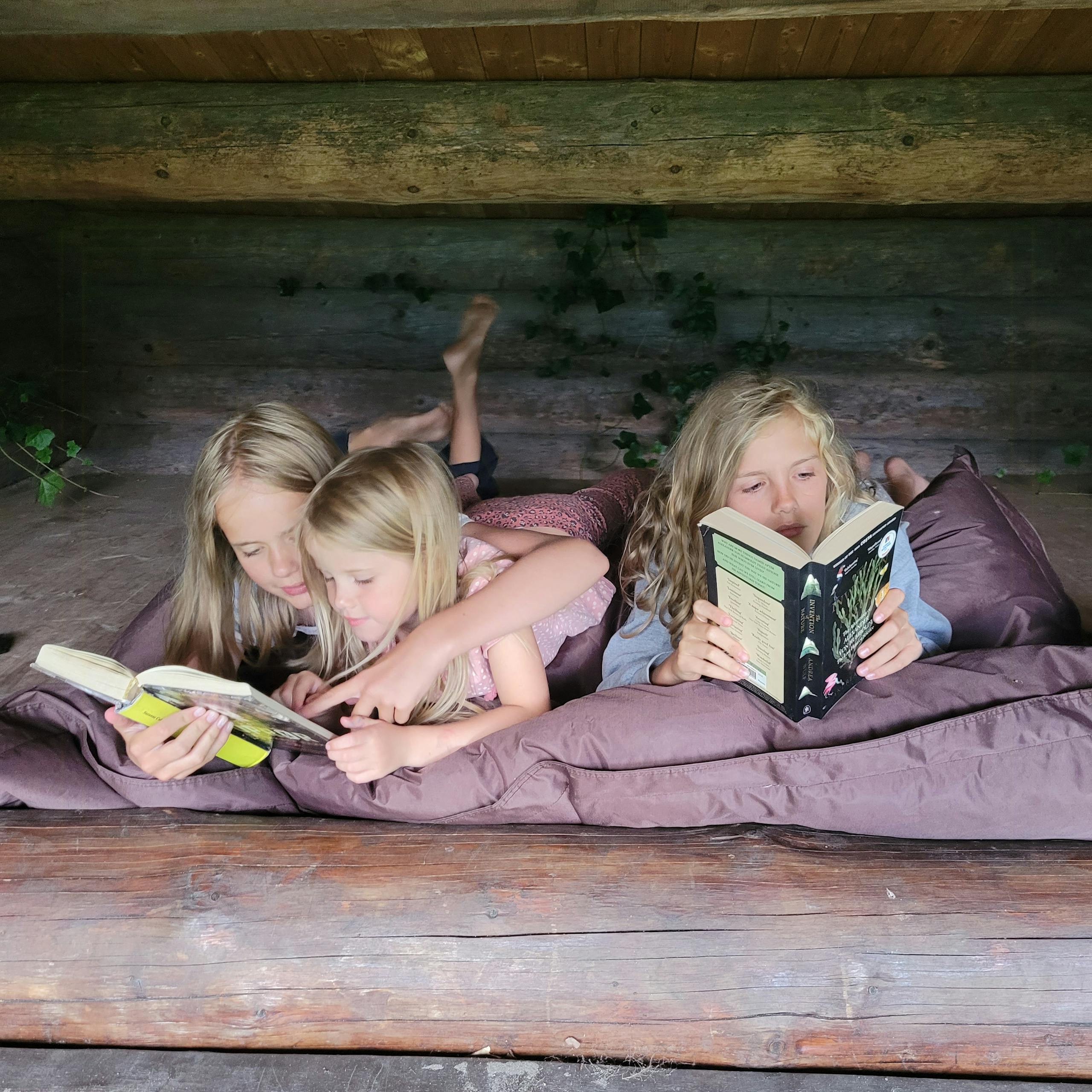 Sommerferiepostkort fra Ebeltoft