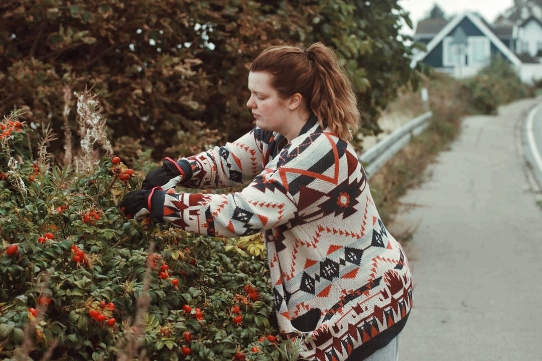 Go foraging and taste nature’s treasures