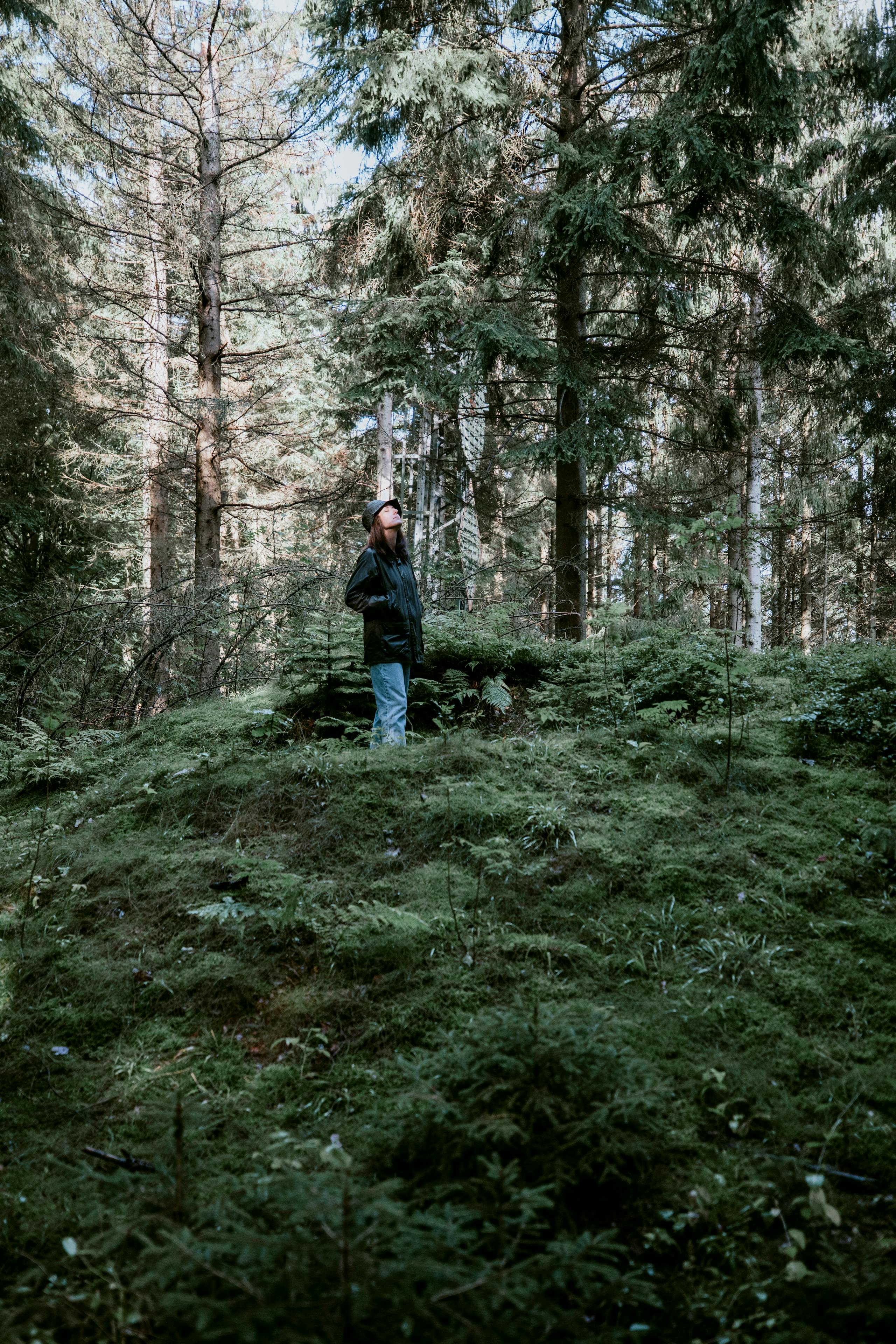 Udstyrsguide: 5 anbefalinger til dig, der gerne vil mere ud i naturen